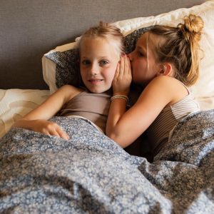 2f99ac32d29969ed98ec12c8b4f81c9129163911 (1)