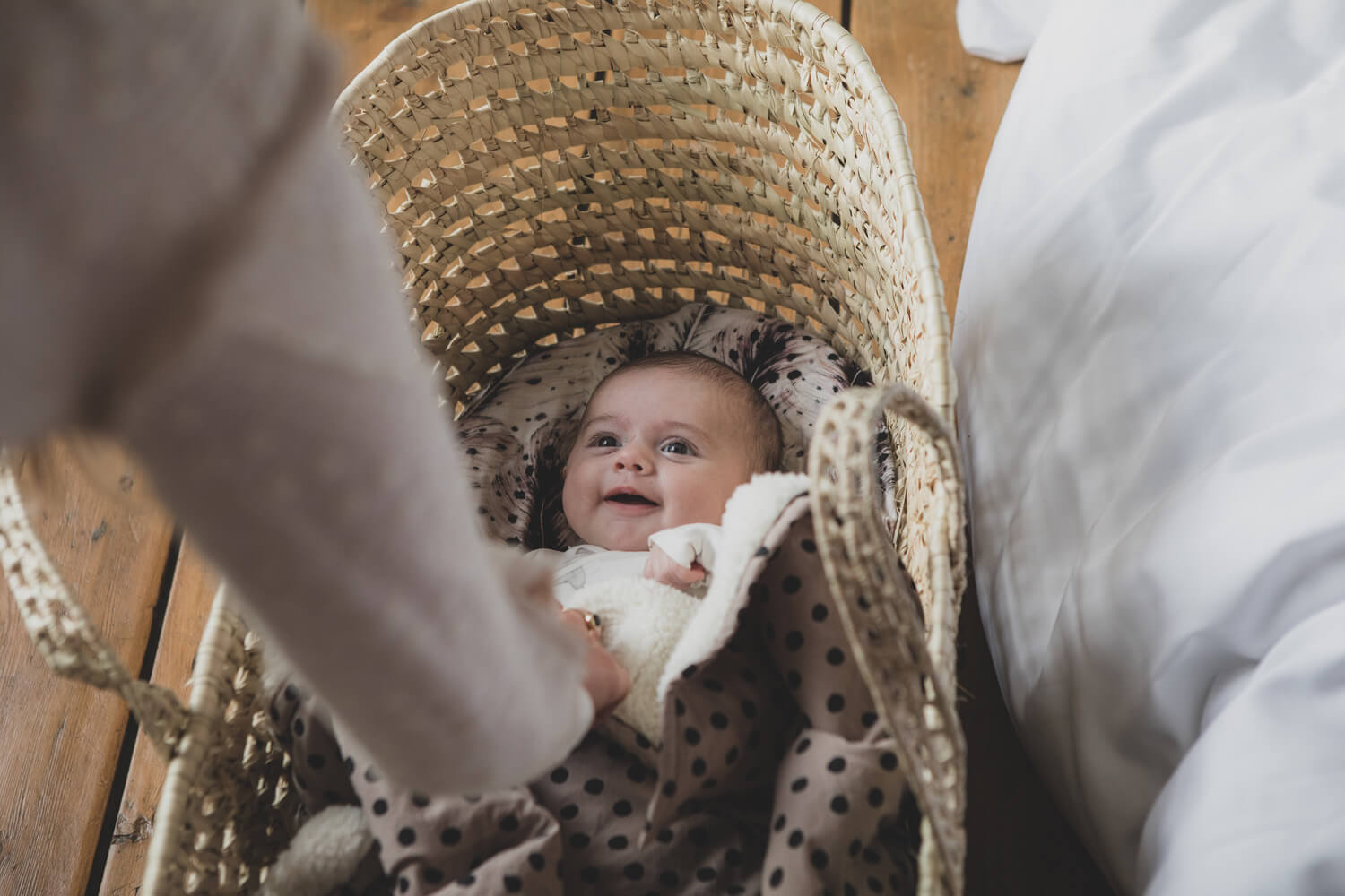 B115fceeb30fb57411bdd203ab03bc9cb3517705